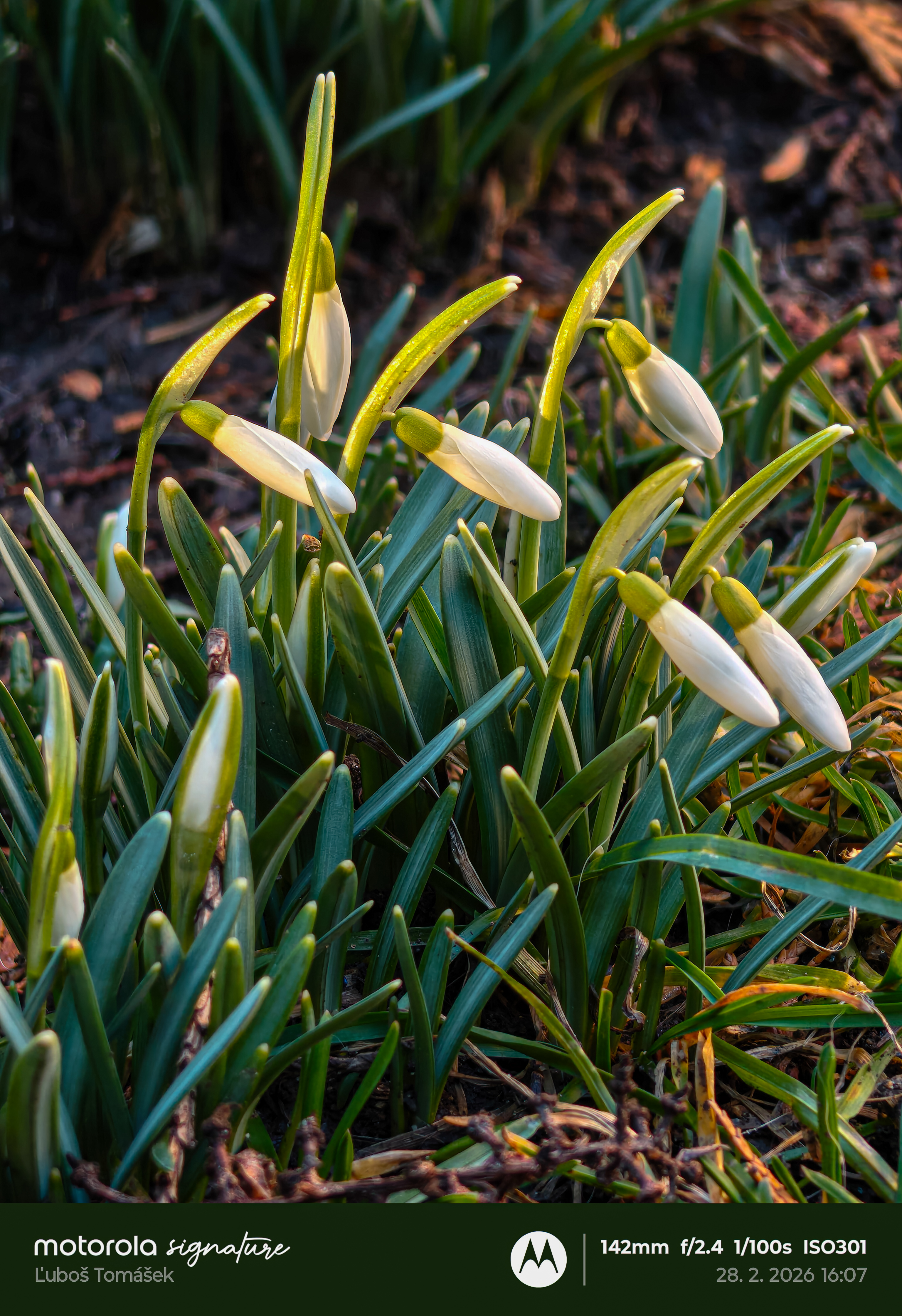 IMG_20260228_160747464_HDR